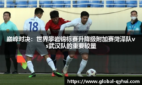 巅峰对决：世界攀岩锦标赛升降级附加赛菏泽队vs武汉队的重要较量